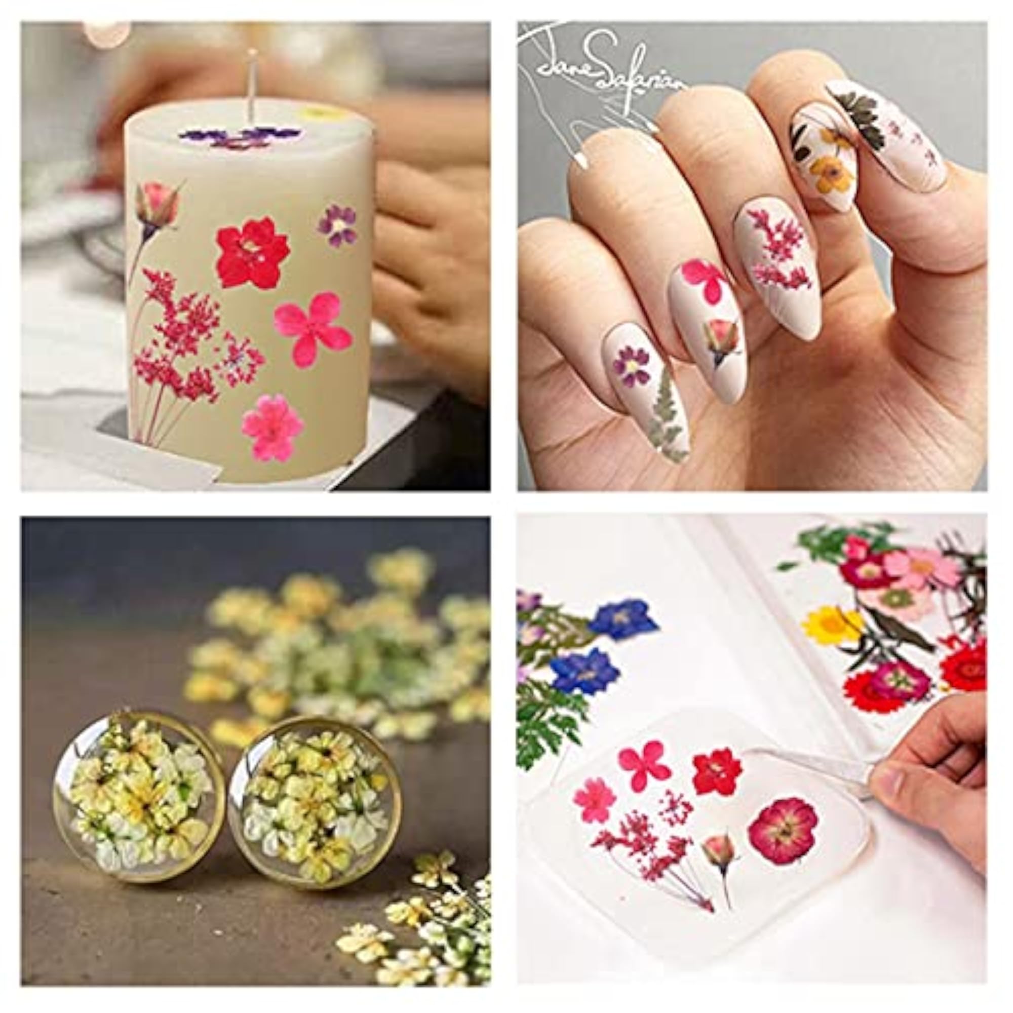 Assorted Preserved DIY Dried Pressed Flower Kit